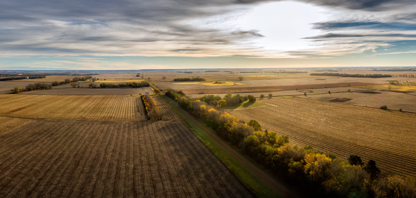 Arial view of a field