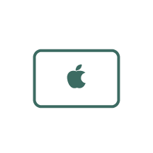 Apple Pay Icon 