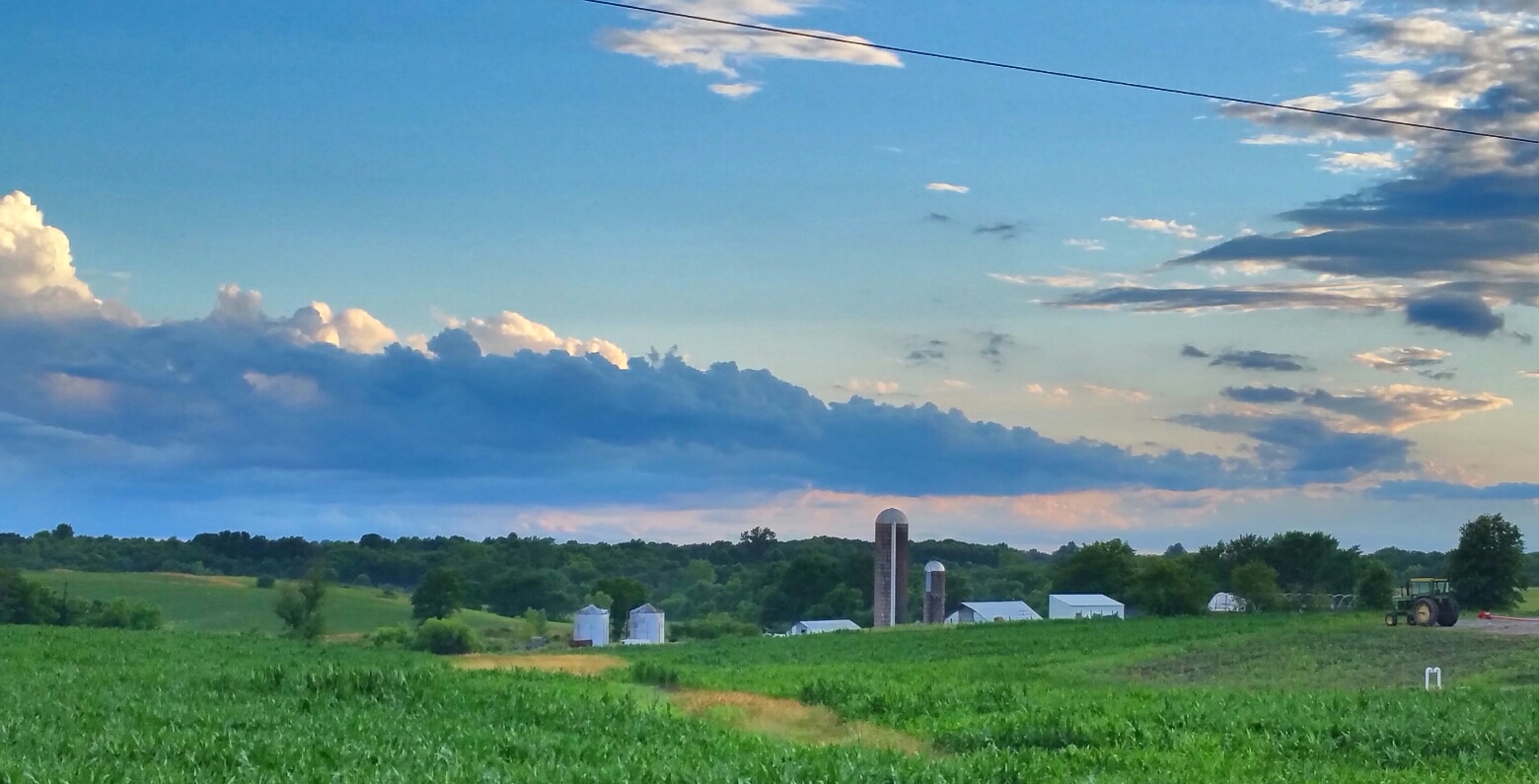 A field and silos